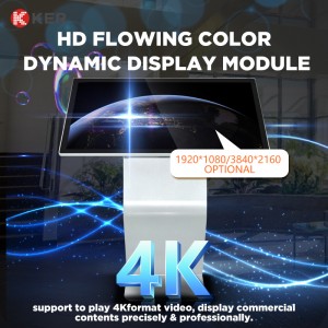 49 inch Capacitive Printing Multifunction Self Service Terminal Self Service Query Kiosk